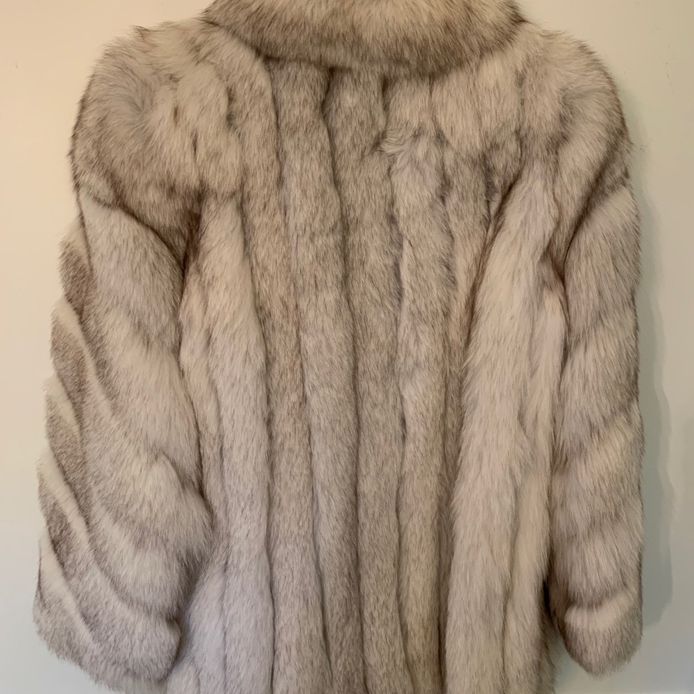 Blue Fox Jacket - image 2